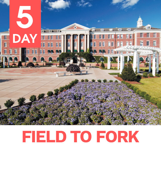 field_to_fork_image