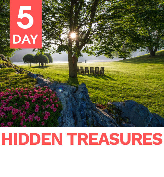 hidden_treasures_image